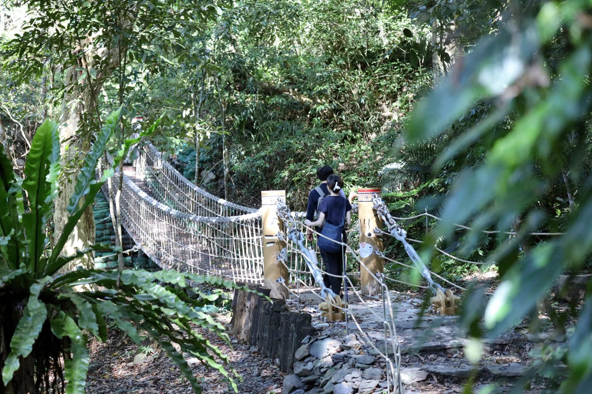 狂賀！台中雪山坑步道勇奪「2026國家卓越建設獎」金質獎，絕美秘境因颱風暫封閉！