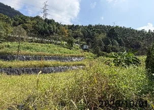 圖片來源：臺南市政府