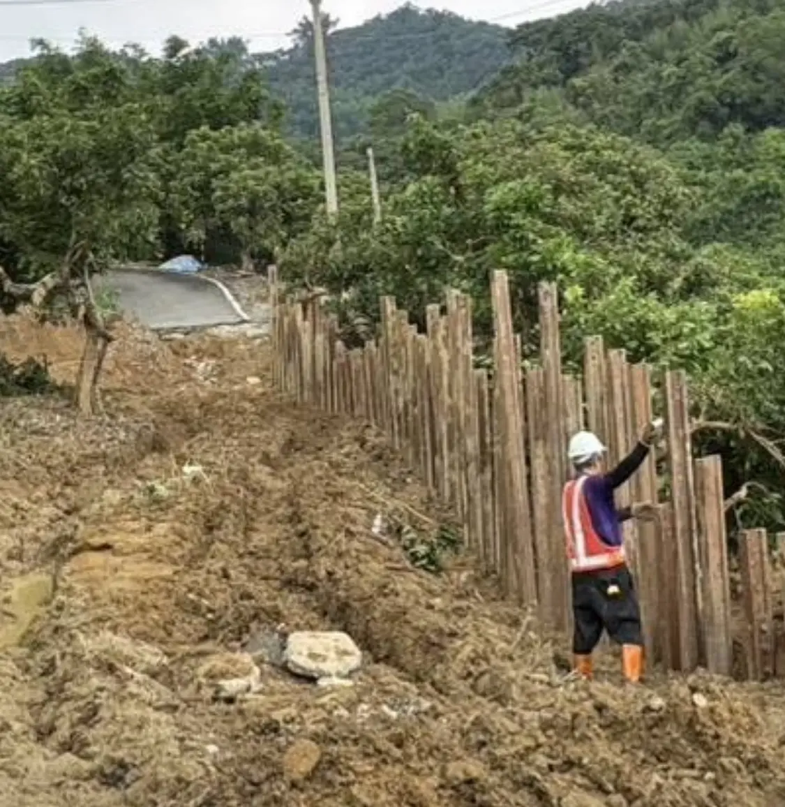 圖片來源:臺中市政府