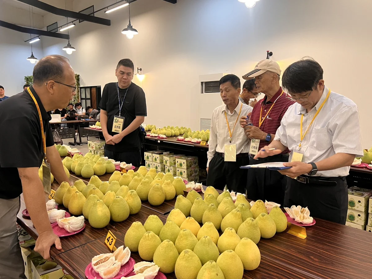 圖片來源：臺南市政府