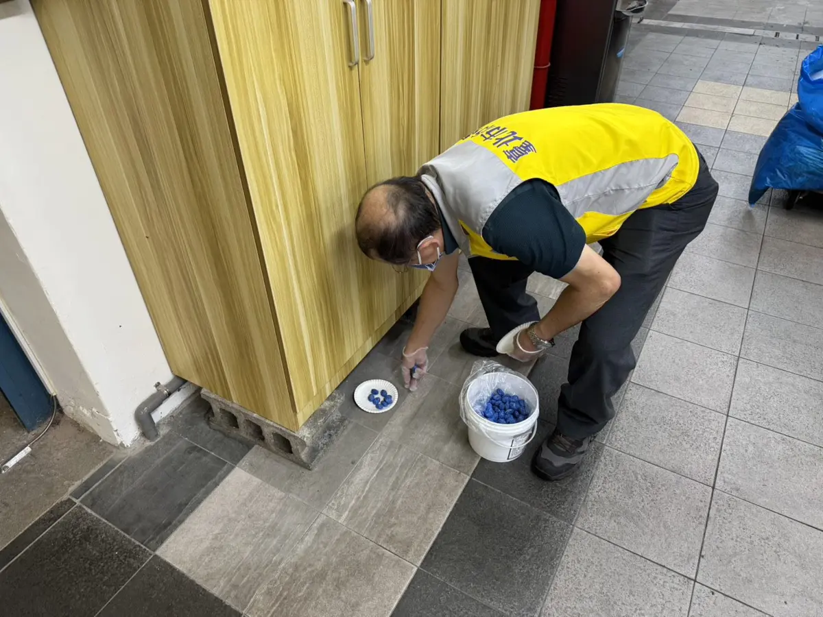 北市菜市場爆漢他病毒隱憂?市場處祭鐵腕:94處市場全面滅鼠消毒 讓你好安心辦年貨