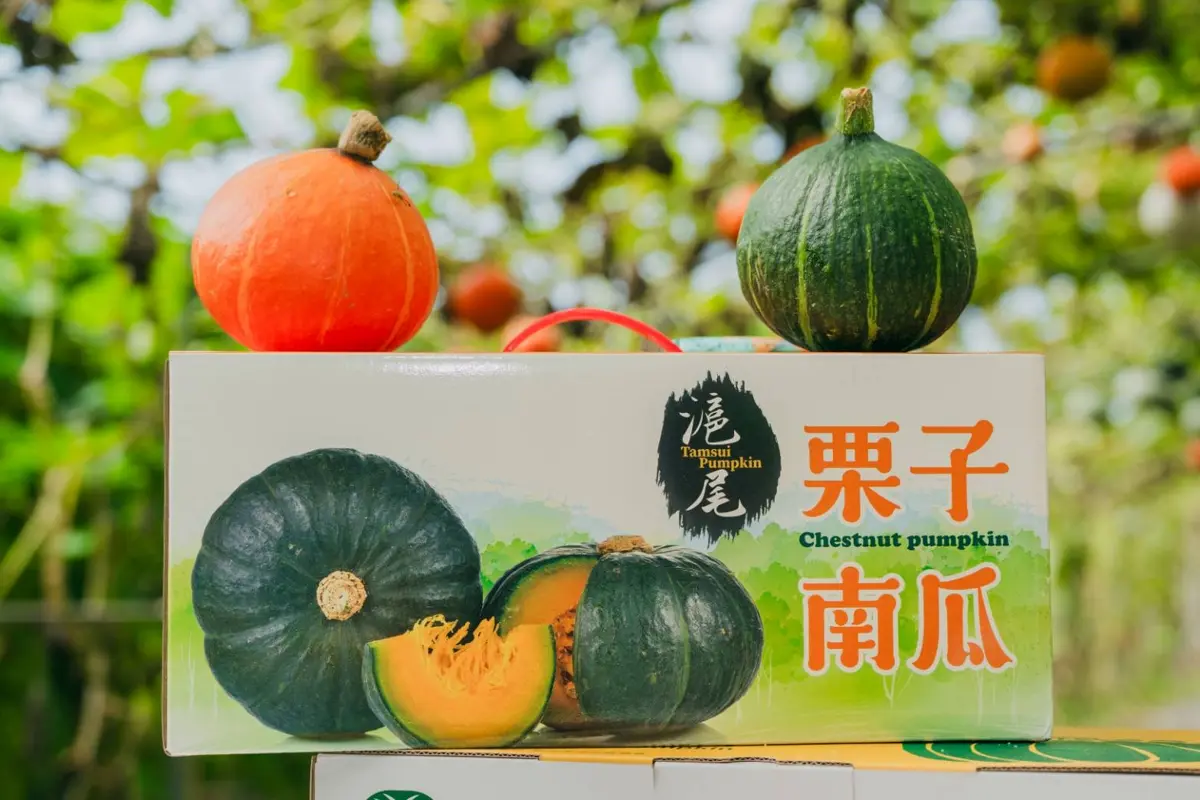 圖片來源:新北市政府