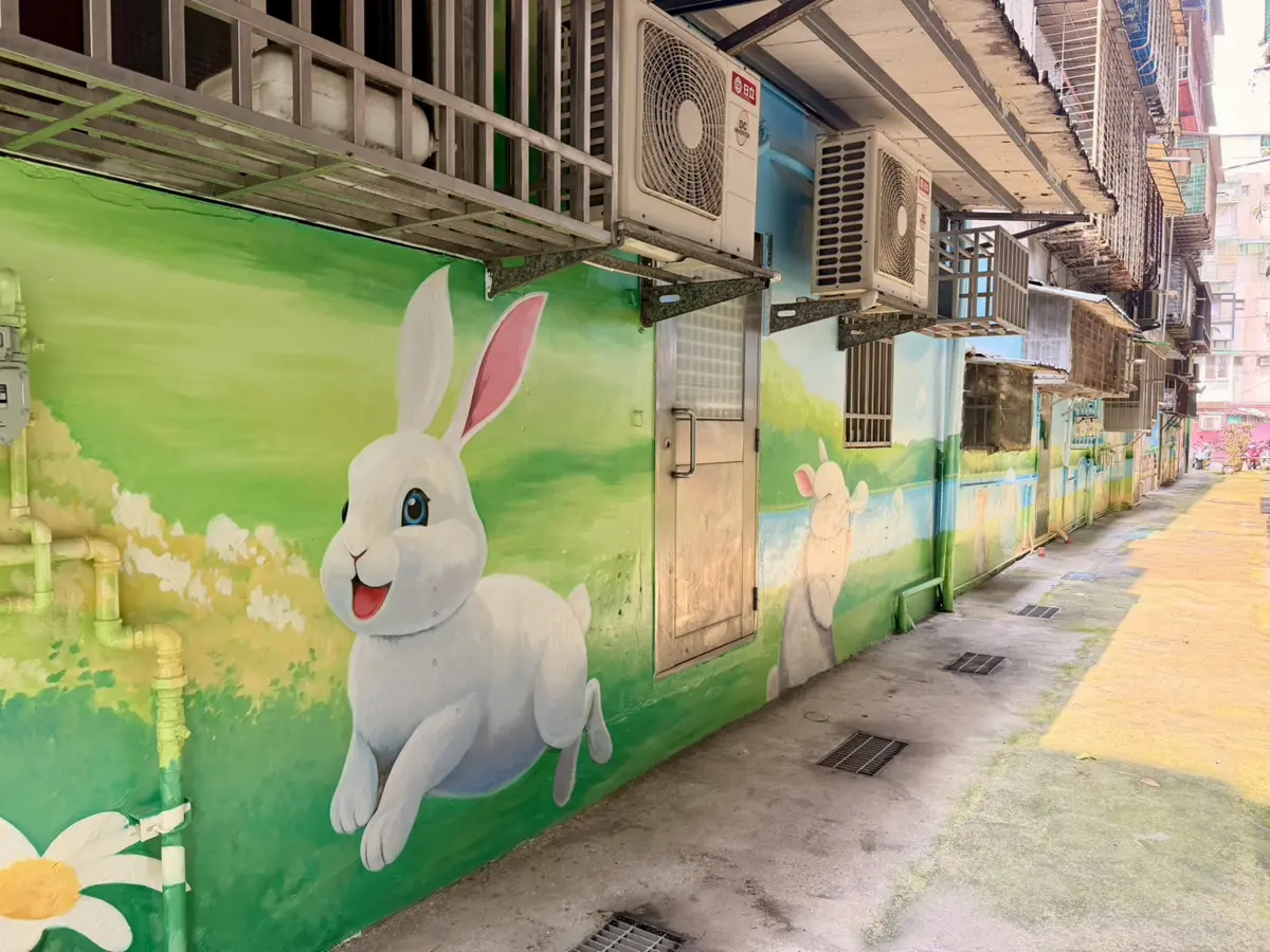 圖片來源:新北市政府