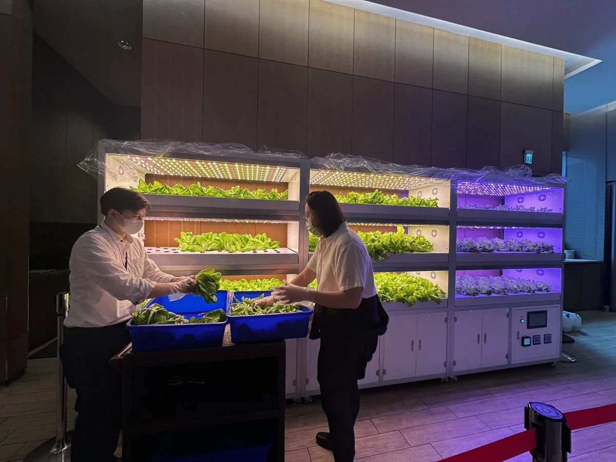 台北都市農夫看過來!田園城市成果出爐 9/24松菸市集等你來挖寶