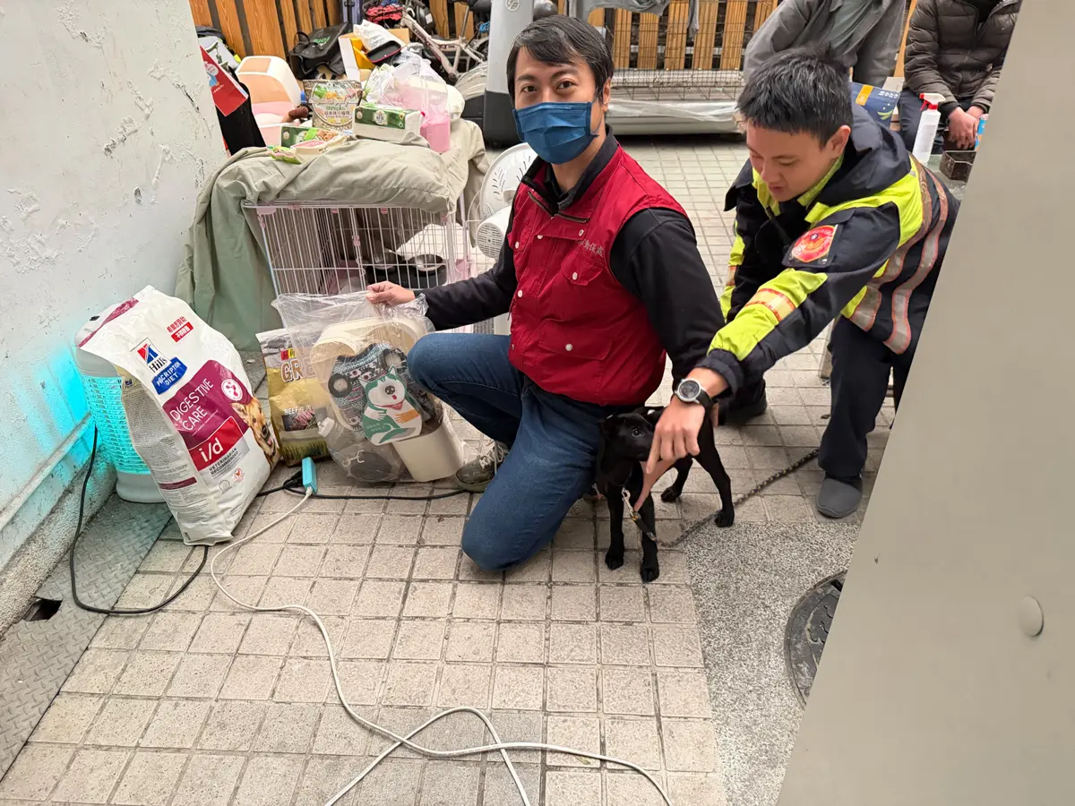圖片來源:新北市政府