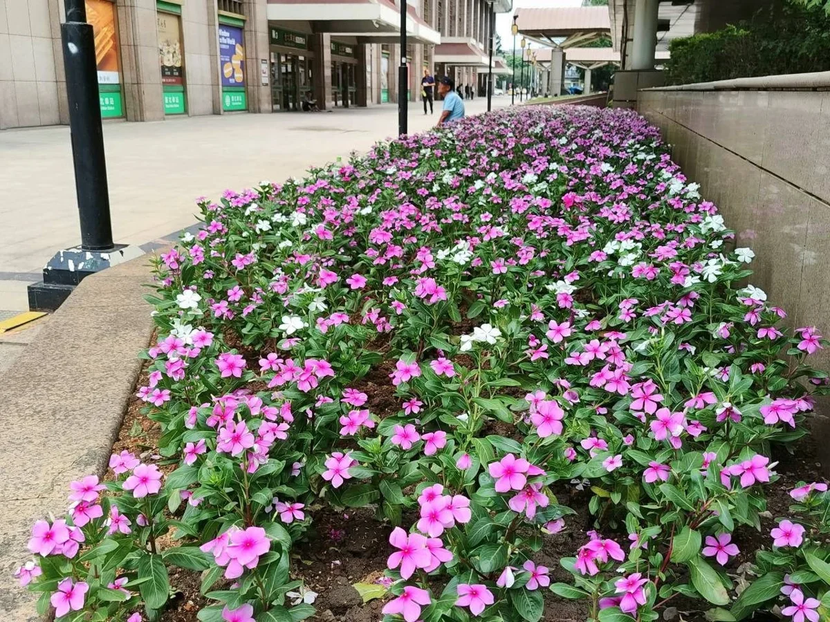 圖片來源:臺北市政府