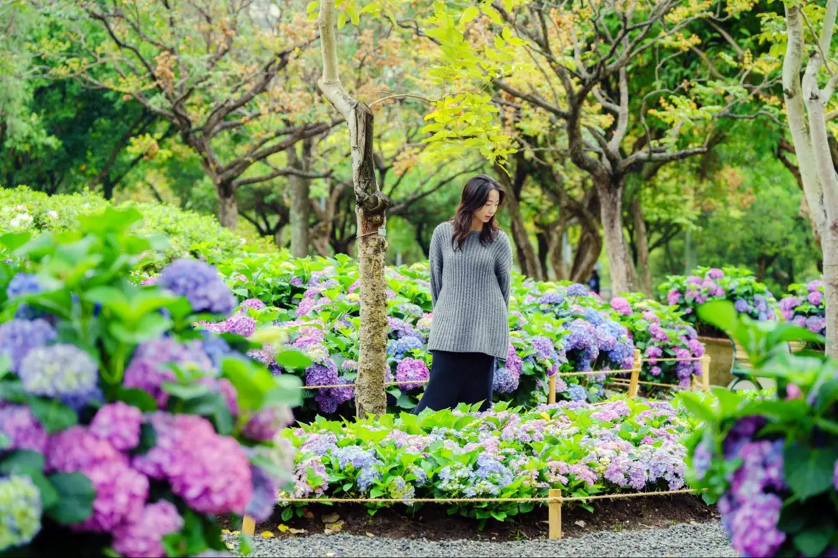拍花海抽AirPods!台北杜鵑花季攝影賽3月底截止,快到大安森林公園尋寶
