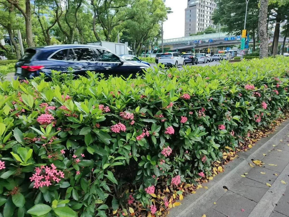 圖片來源：臺北市政府