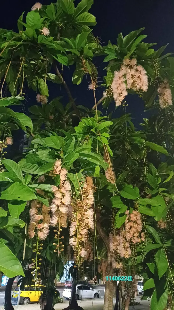 圖片來源：臺北市政府