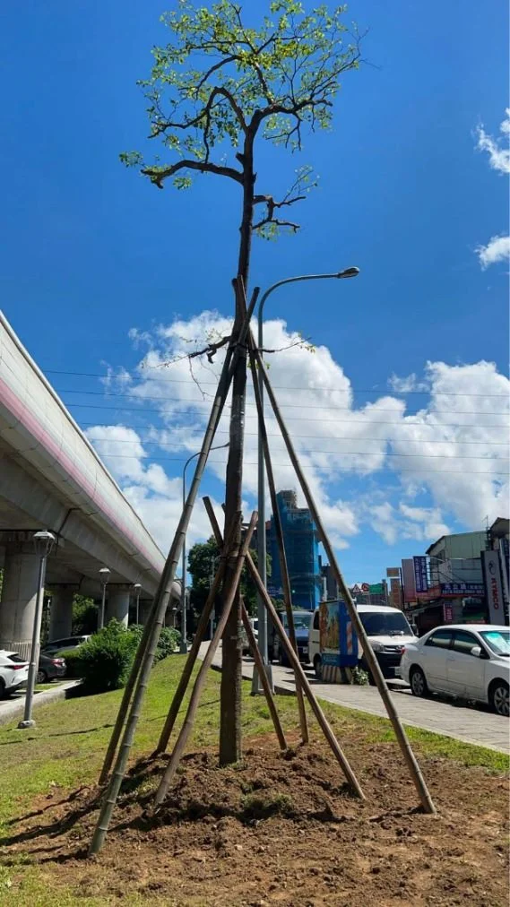 圖片來源:臺北市政府