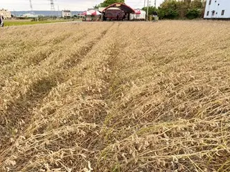 圖片來源:臺中市政府