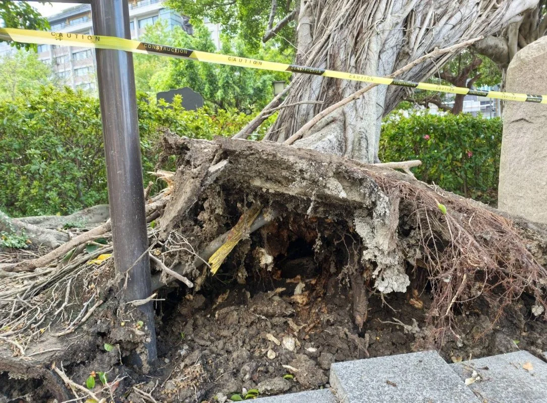 圖片來源：臺北市政府
