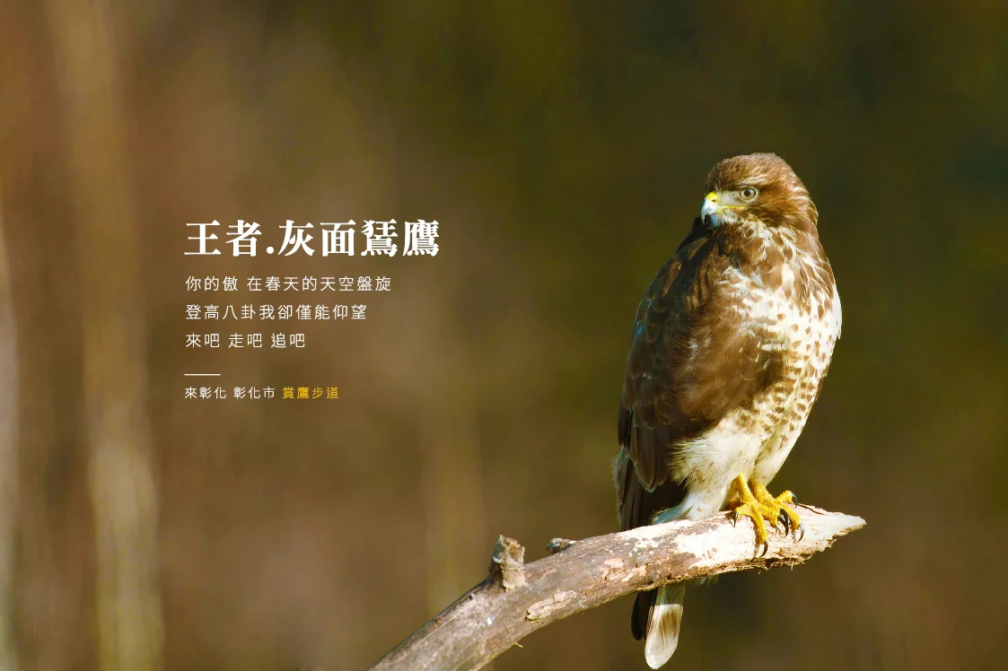 圖片來源:彰化觀光旅遊網-活動