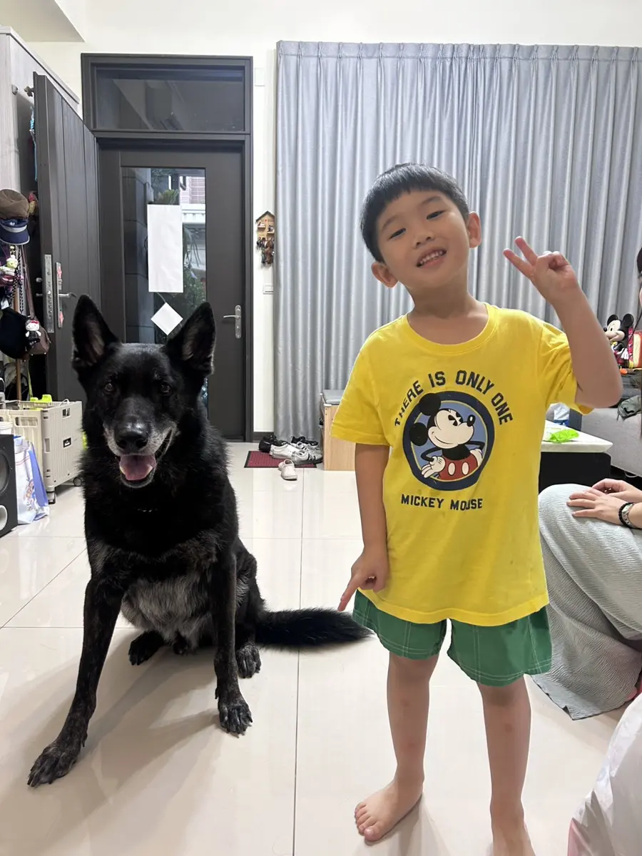 圖片來源:臺中市政府