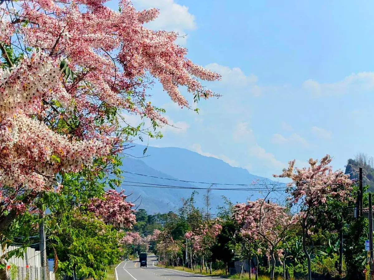 圖片來源:高雄市政府