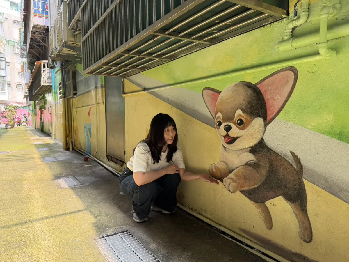 圖片來源:新北市政府