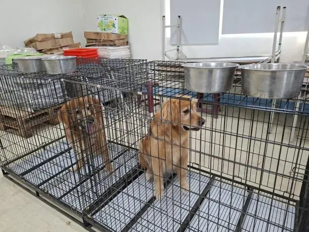 圖片來源:苗栗縣政府