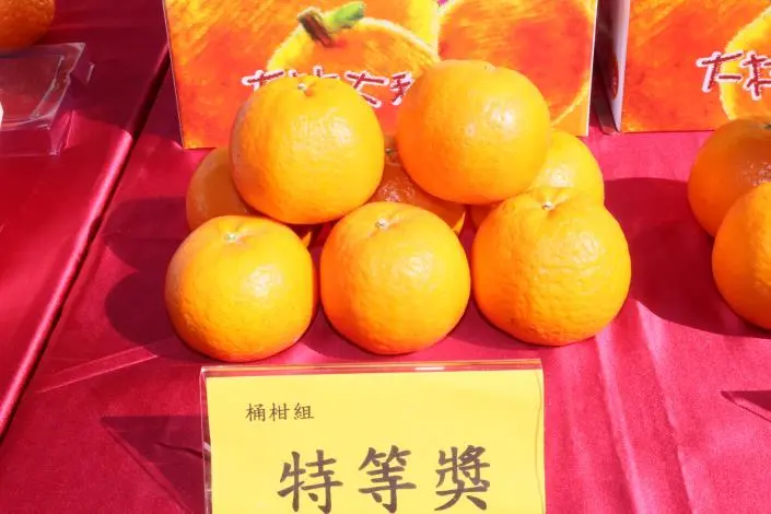 圖片來源:苗栗縣政府