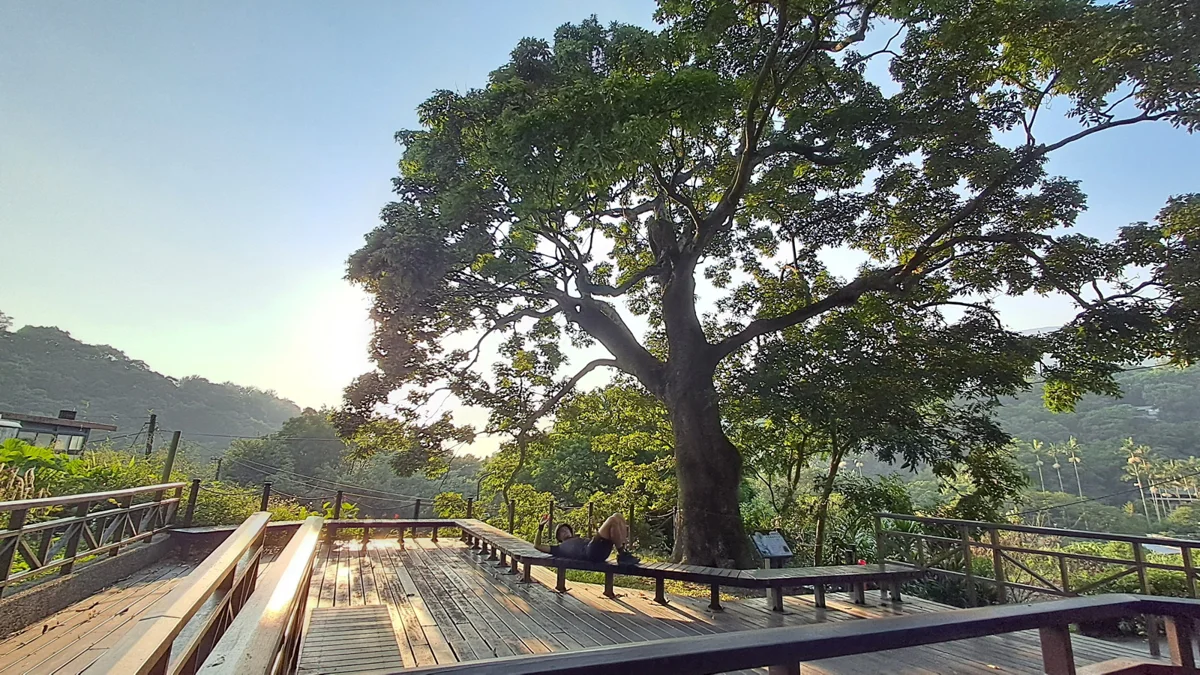 圖片來源：臺北市政府