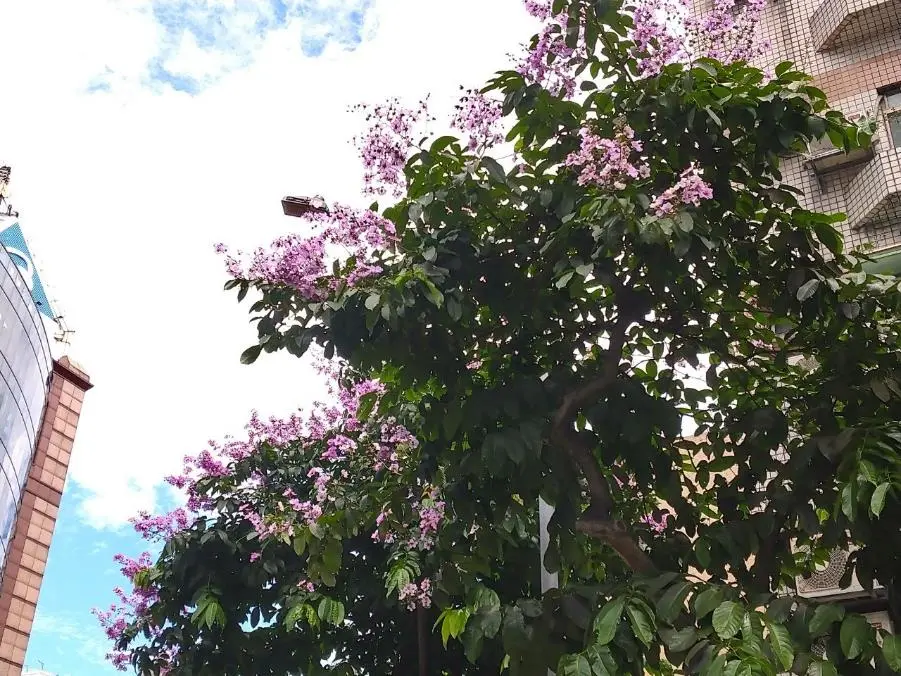 圖片來源:臺北市政府