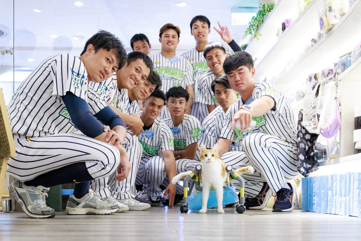 鐵漢柔情大公開!臺北興富發棒球員化身貓奴 清理貓砂反差萌融化全網