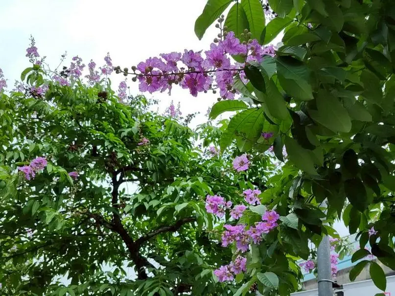 圖片來源:臺北市政府