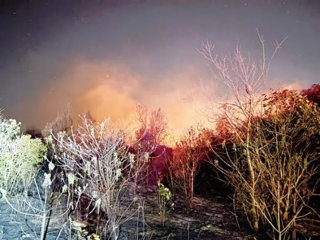 金沙深夜惡火!山后萬平米雜草狂燒 警消民合力圍堵