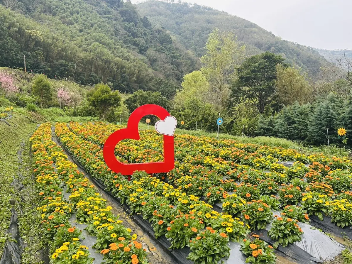 圖片來源:新竹縣政府