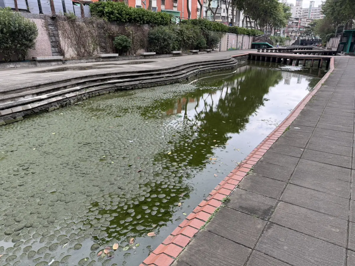 圖片來源:新北市政府