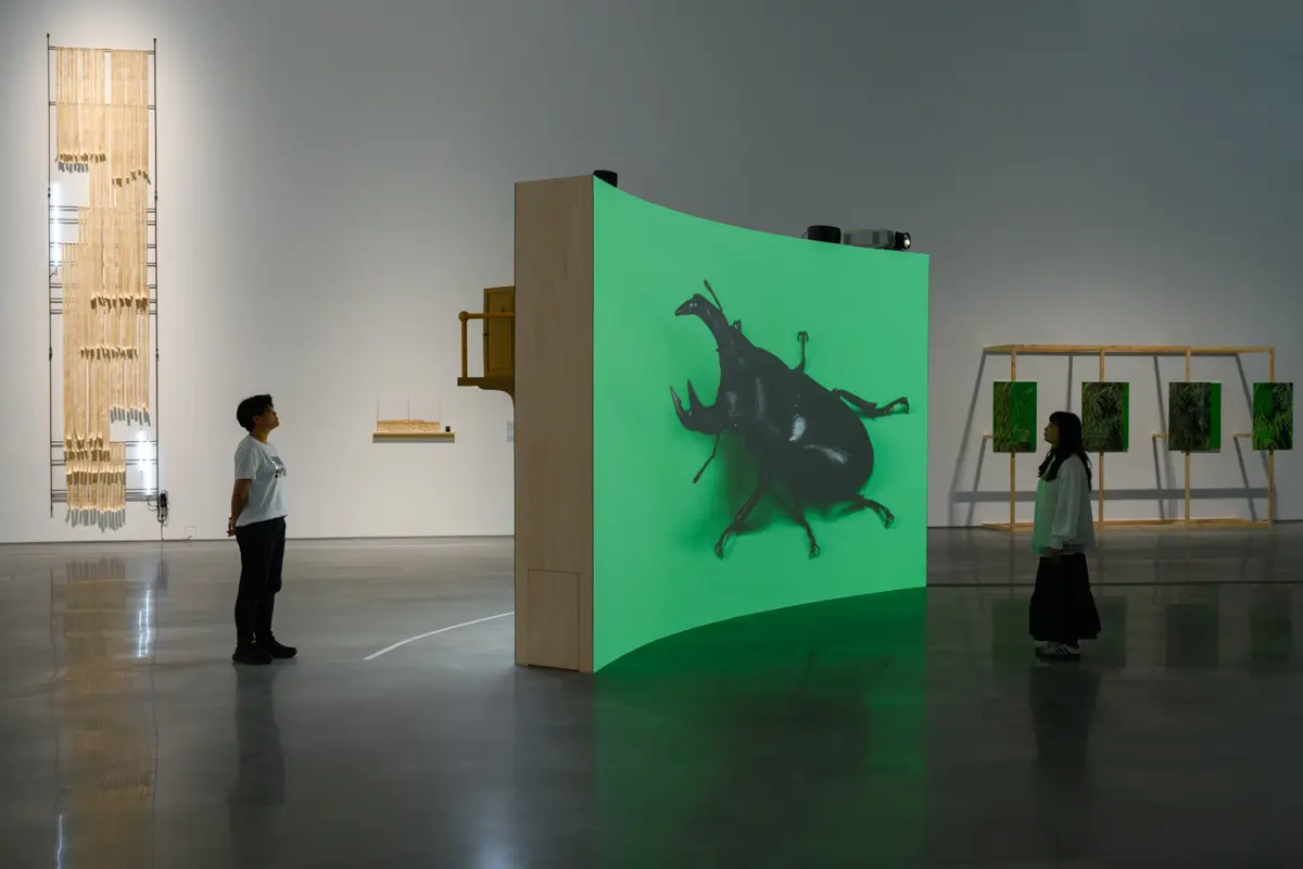 中美館雙展重磅登場!在地「大肚之盟」對話國際「熱暑人」,限時3天免費入場