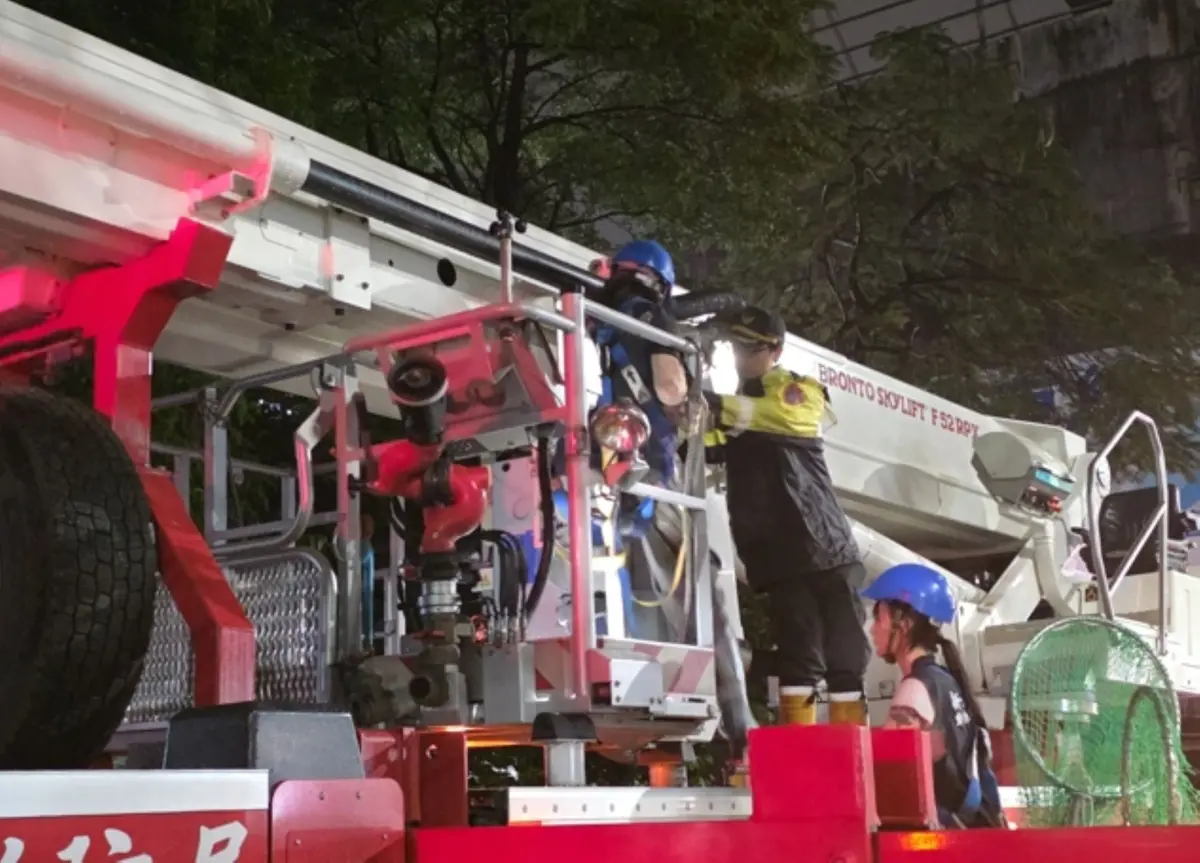 [救援片] 汐止貓咪困5樓高樹梢3天！動保警消跨部門出動雲梯車成功救援