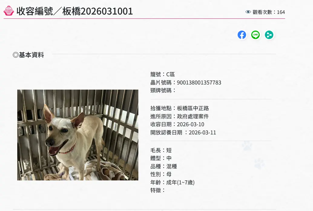 圖片來源:新北市政府