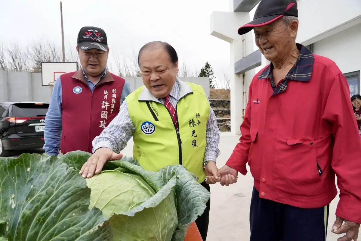 澎湖高麗菜王誕生!洪丙仲以22.5台斤巨無霸高麗菜霸氣奪冠