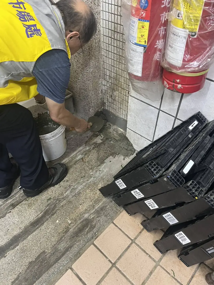 北市滅鼠大作戰!中山區率先開跑,7大市場、夜市迎來大清消