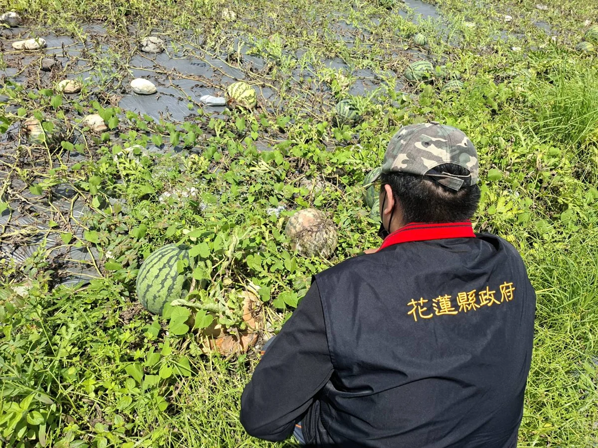圖片來源：花蓮縣政府