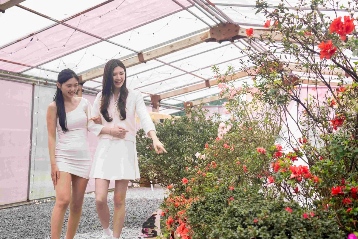 2026萬金杜鵑花展「馬上出花」!金山8大花藝地景美翻,線上投票再抽神秘好禮
