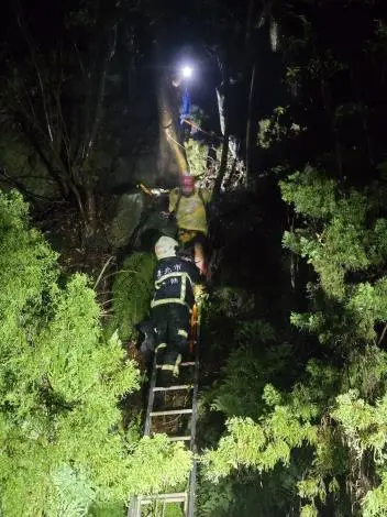 【陽明山迷途驚魂】英國籍遊客夜困濃霧密林!北投警消靠「1關鍵」成功救援