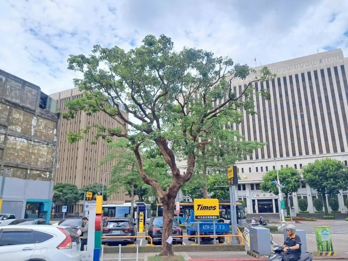 圖片來源：臺北市政府