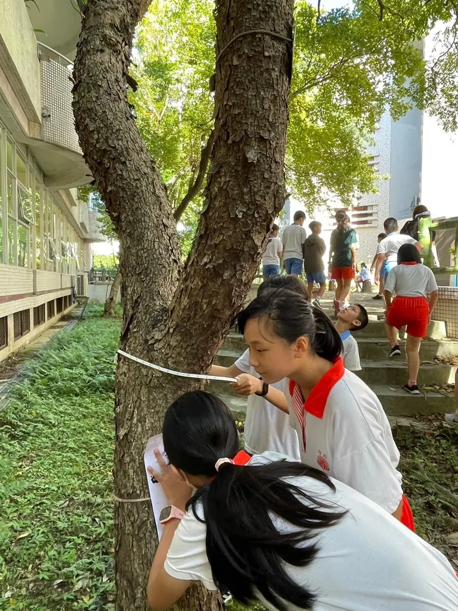 圖片來源:新北市政府
