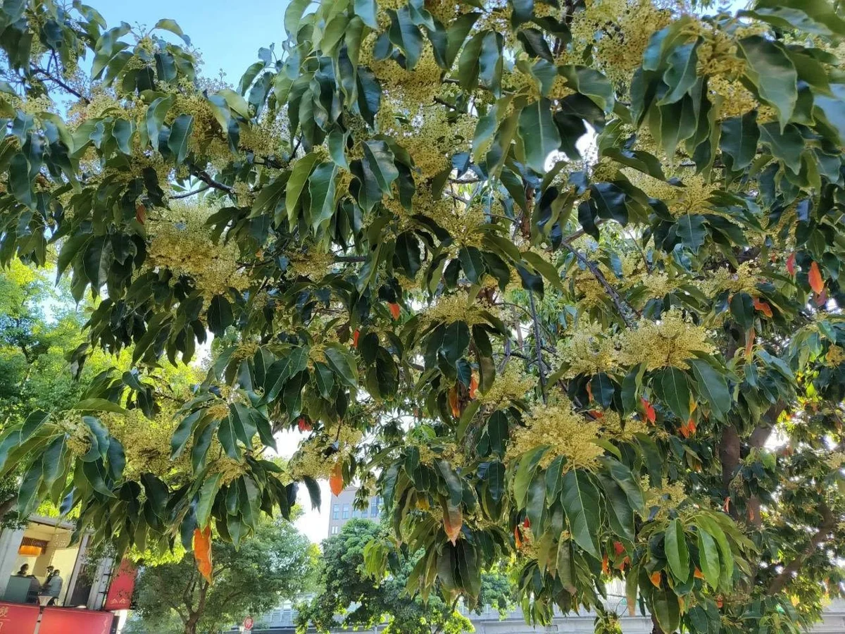 圖片來源:臺北市政府