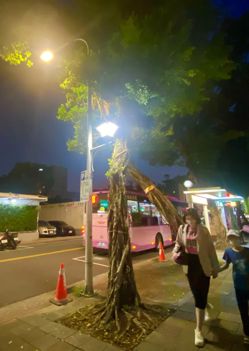 圖片來源:臺北市政府