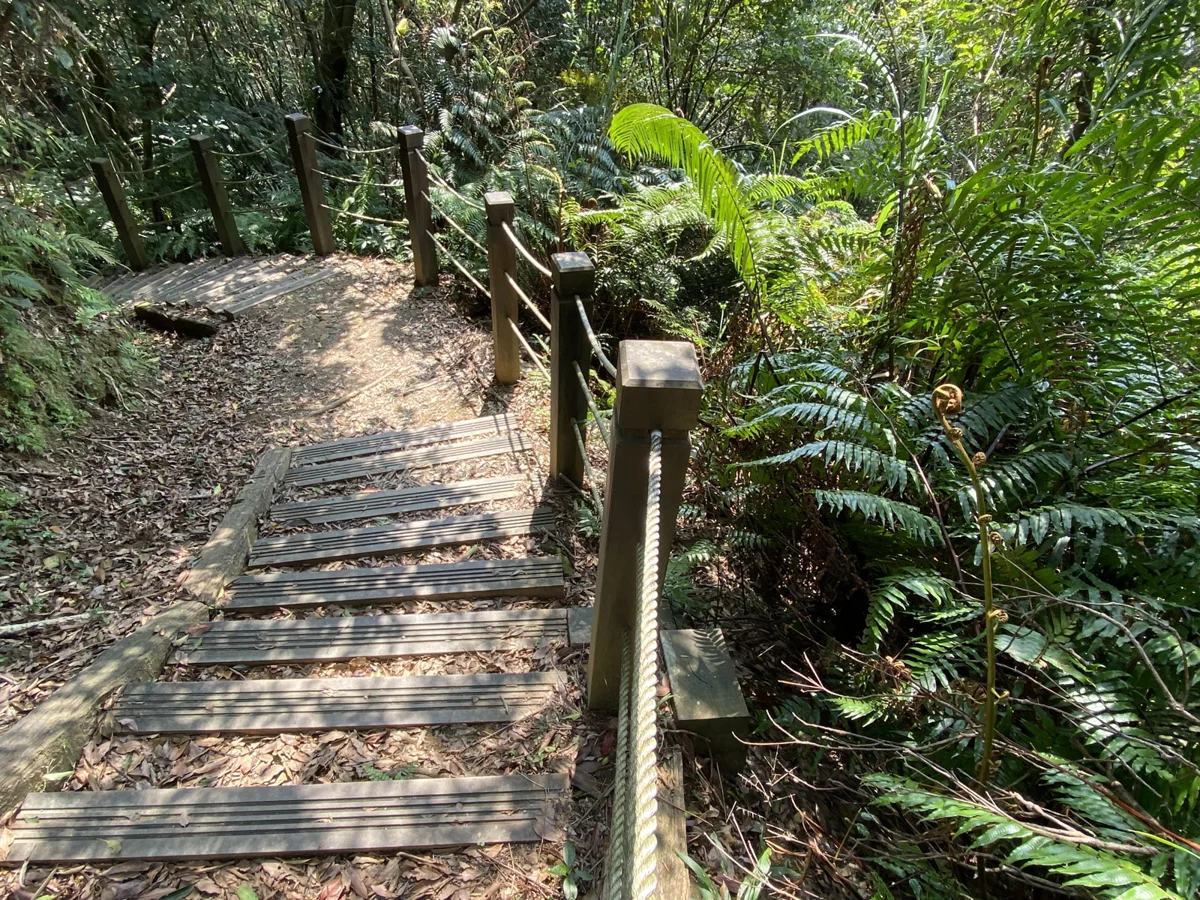 【戶外活動攻略】銀河洞與土庫岳走讀7月27日開放報名!親子同遊學山林安全