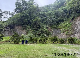 圖片來源：臺南市政府