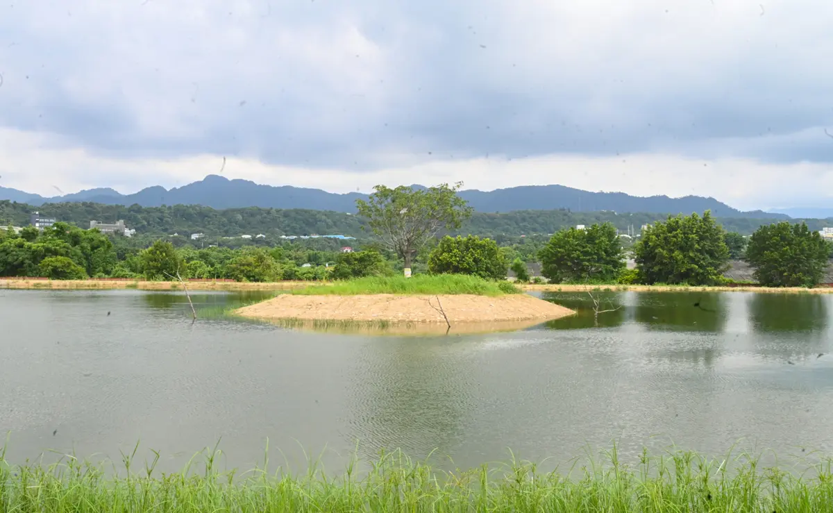 桃園打造生態水池改善水環境 每日處理1萬噸生活污水