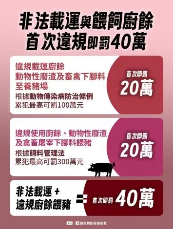 苗栗養豬戶當心!廚餘禁令最高罰300萬 縣府:別跟荷包過不去