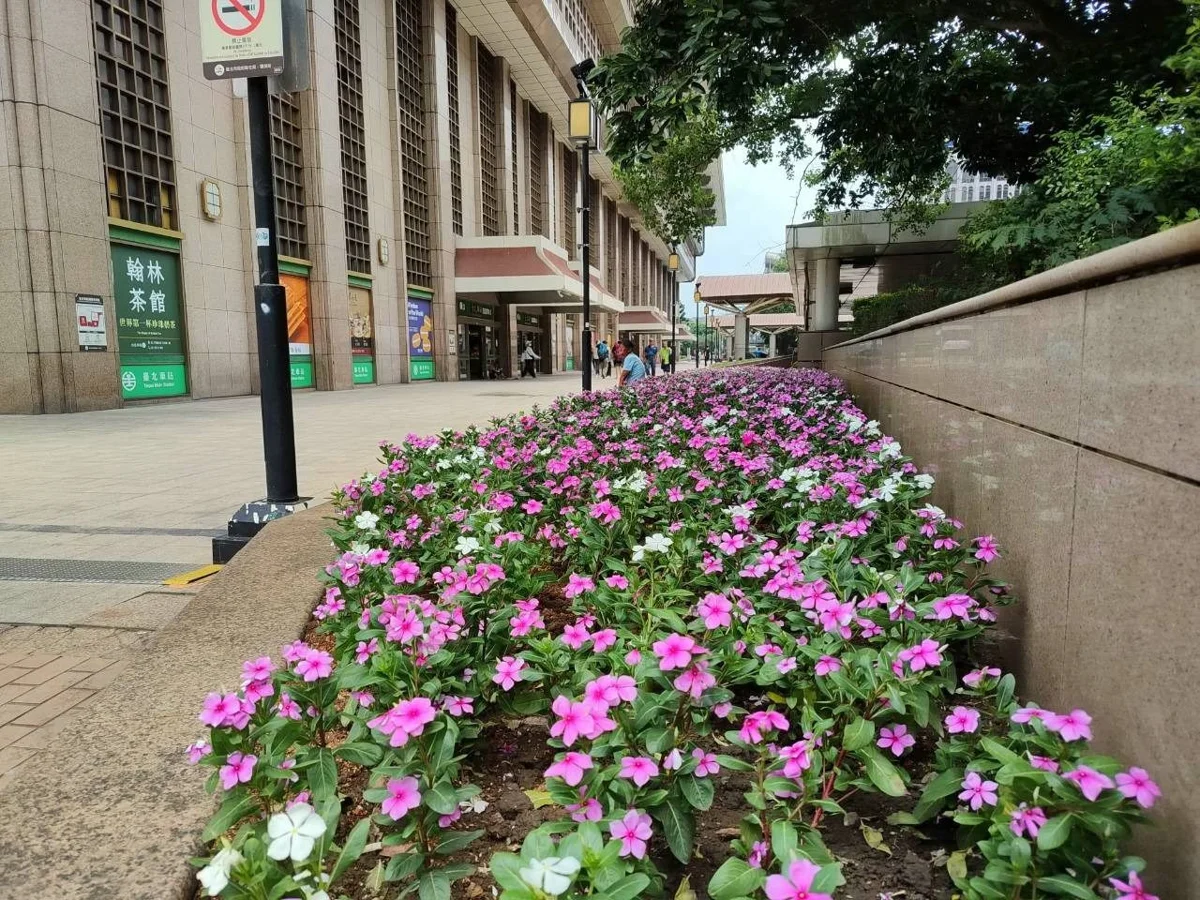 圖片來源:臺北市政府
