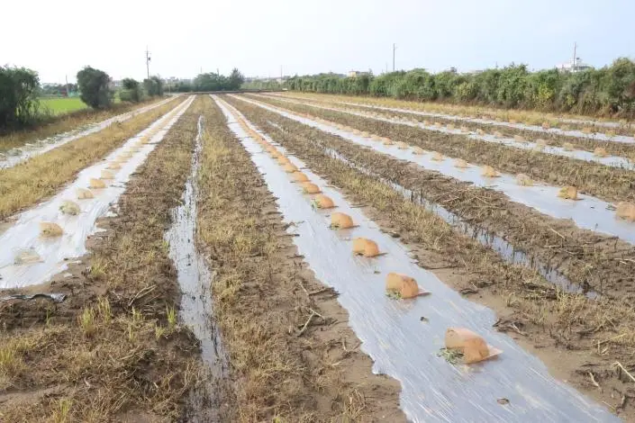 圖片來源:苗栗縣政府