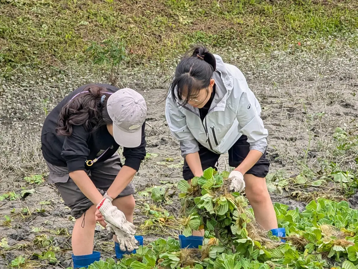 圖片來源:花蓮縣政府