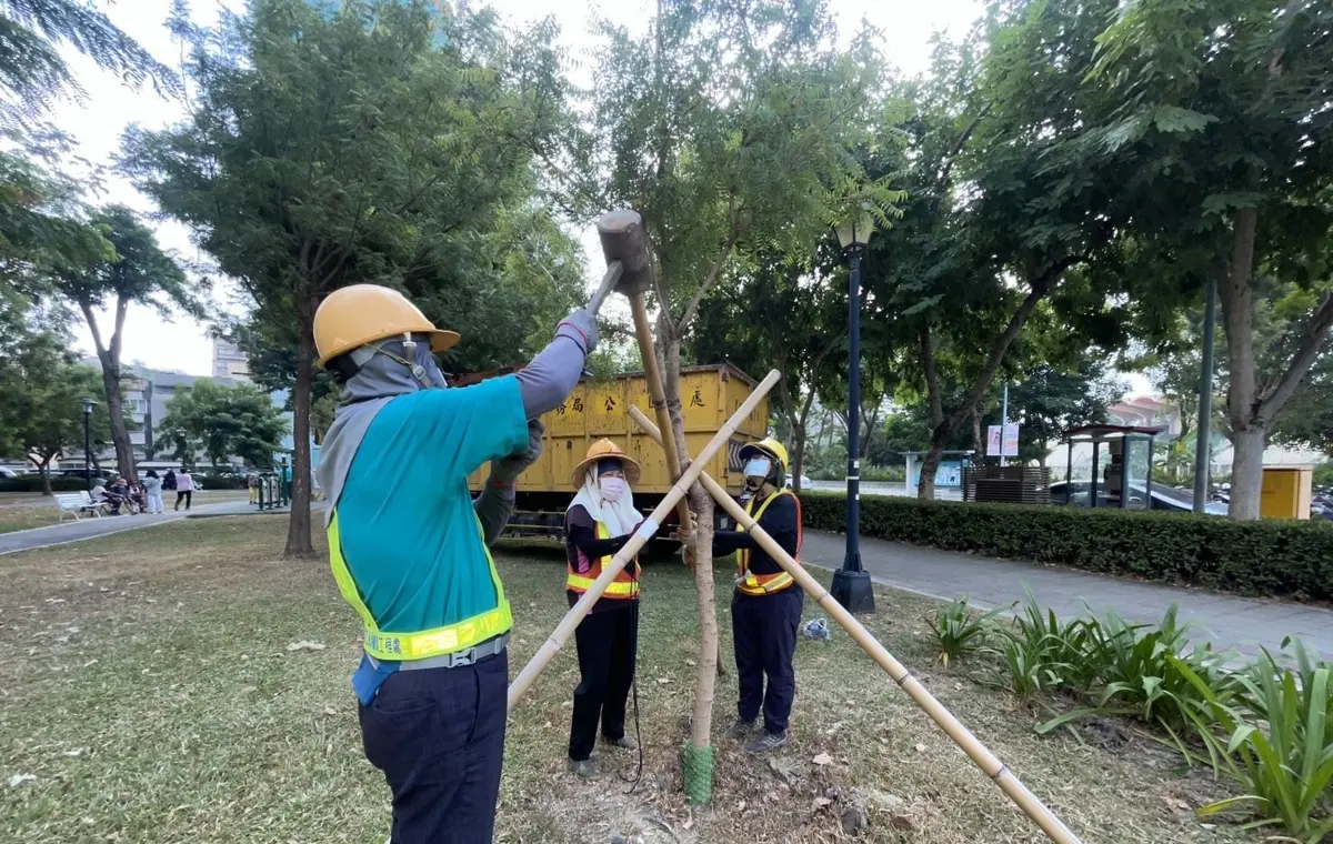 鳳凰颱風逼近!高雄市府急籲:停在路樹下的車輛快移走,避免砸壞