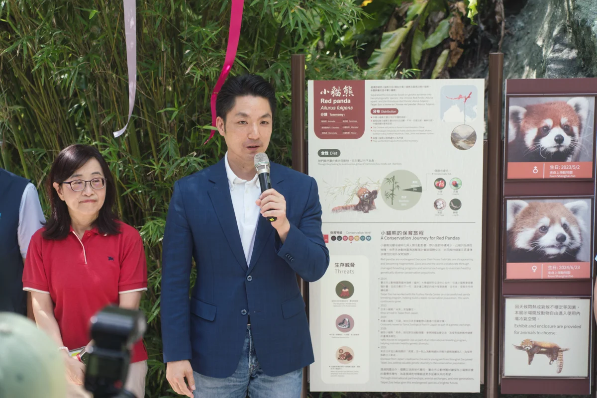 小貓熊「甜甜」、「樂樂」超萌亮相!蔣萬安邀大小朋友暑假遊動物園